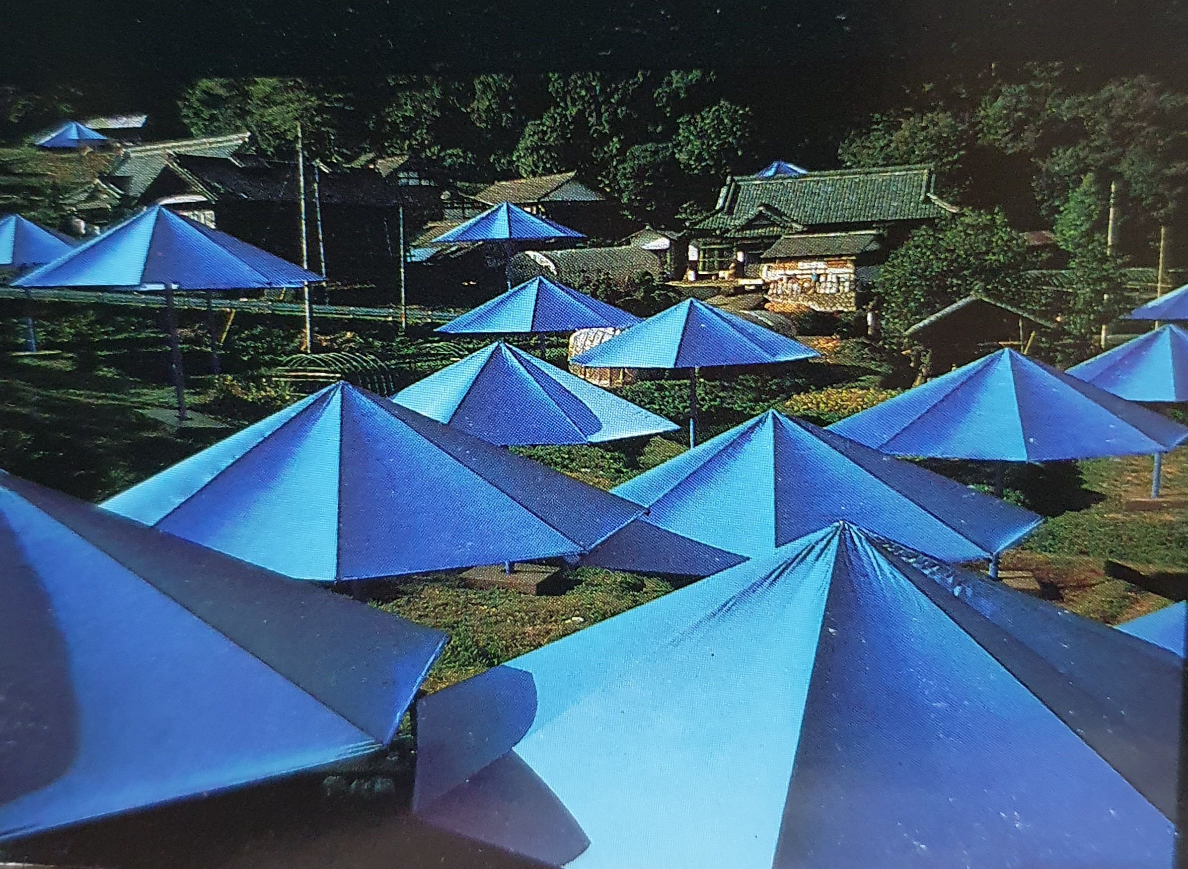 O ESPAÇO - A MONTAGEM, A INSTALAÇÃO, A LAND ART, O SITE SPECIFIC E A PUBLIC ART